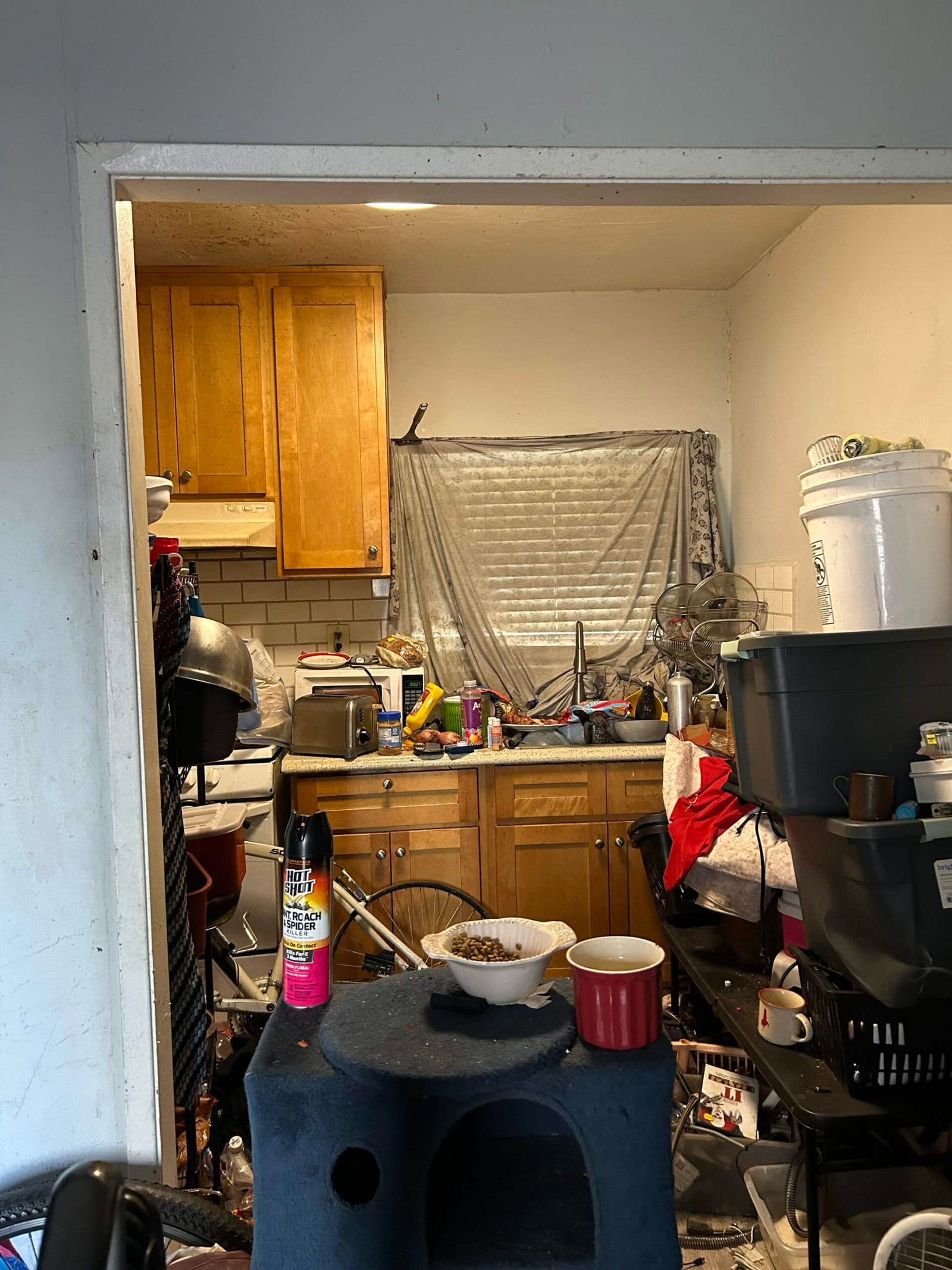hoarder home