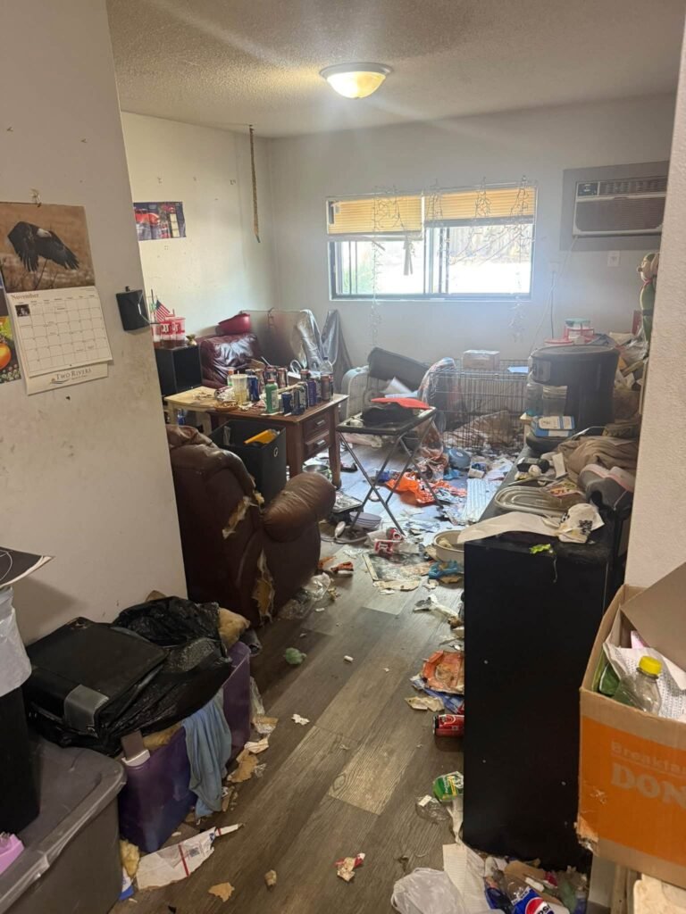 junk removal