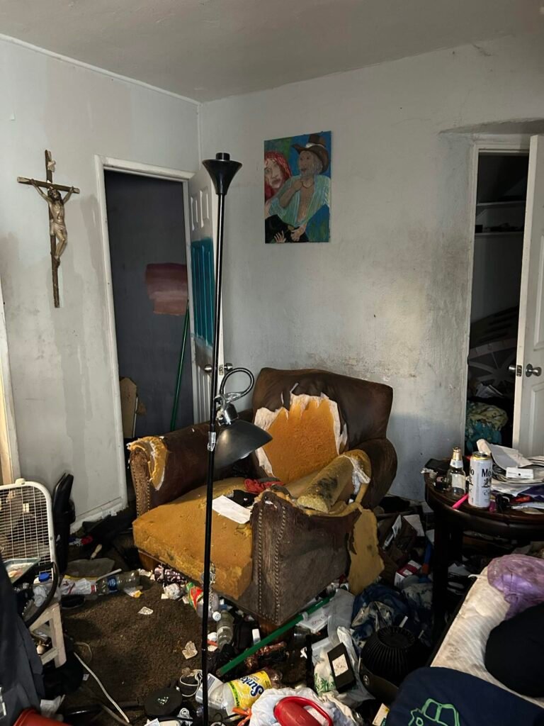 hoarder cleanup